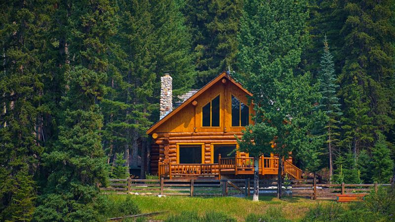 Log Cabin Maintenance Contractors